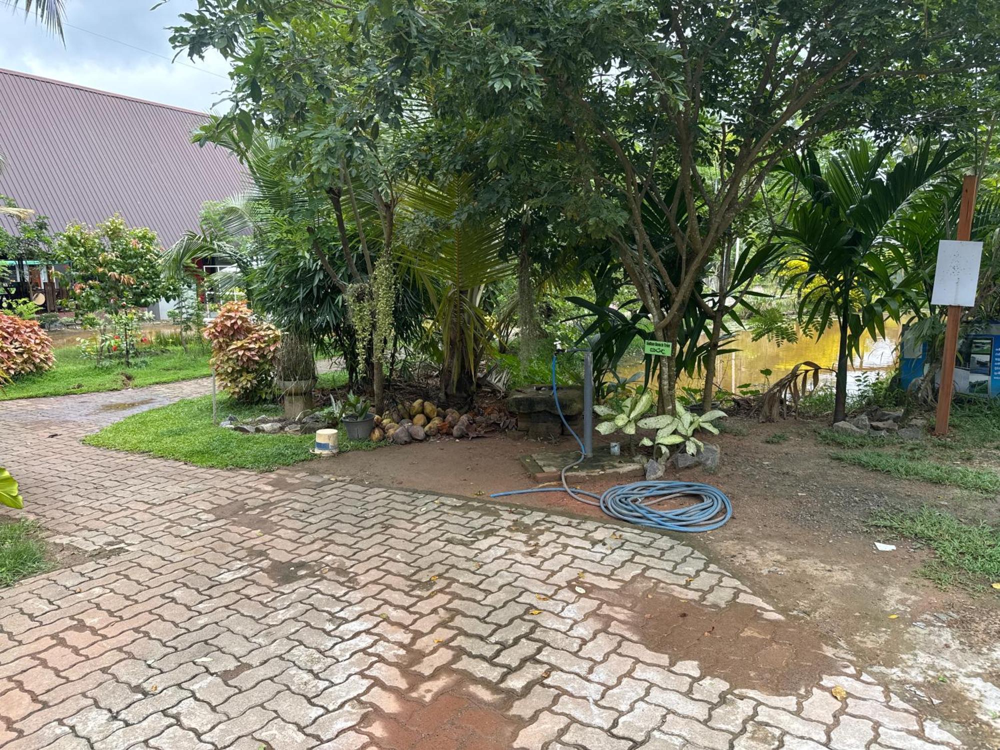 Steps Garden Resort Negombo Luaran gambar